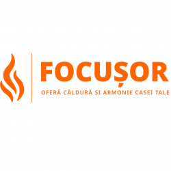 Focusor.md (Seminee) logo